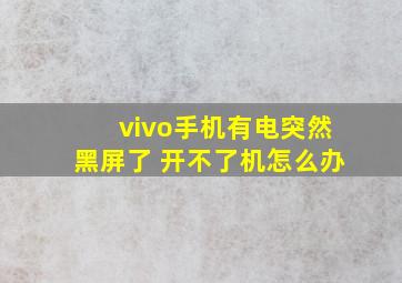 vivo手机有电突然黑屏了 开不了机怎么办